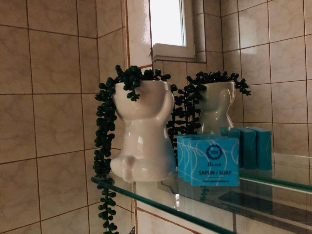 Ana-Maria Home Râmnicu Vâlcea Esterno foto